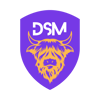 DSM-logo-1